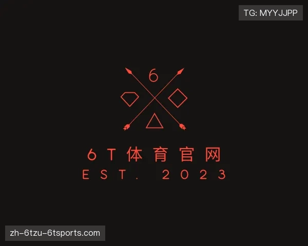 了解6T体育